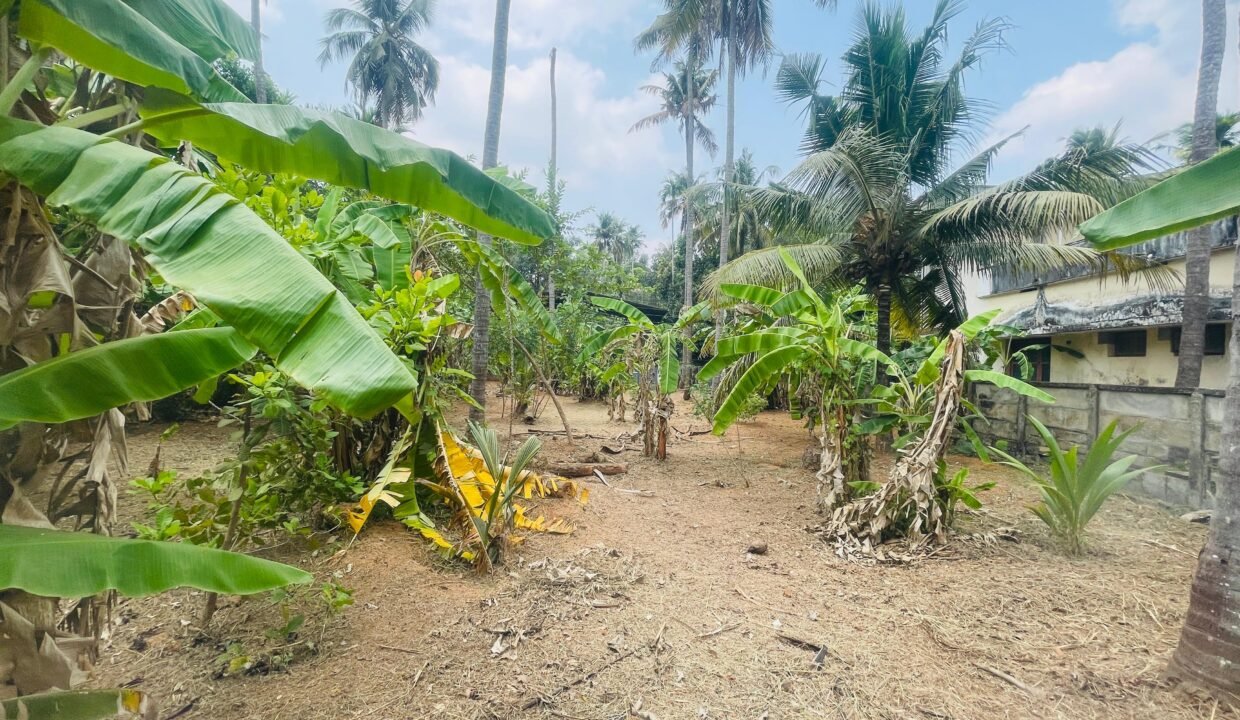 WhatsApp Image 2026-03-16 at 6.20.03 PM (2)