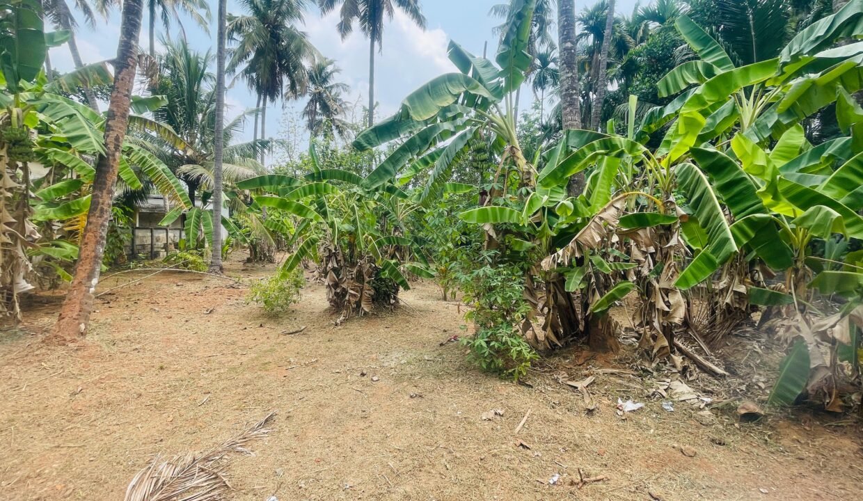 WhatsApp Image 2026-03-16 at 6.20.04 PM