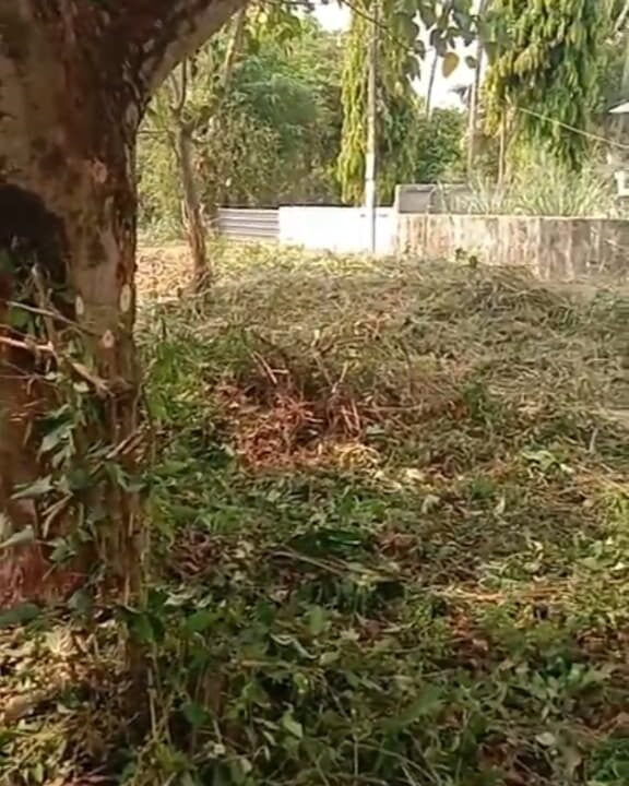 WhatsApp Image 2026-03-23 at 11.13.38 AM