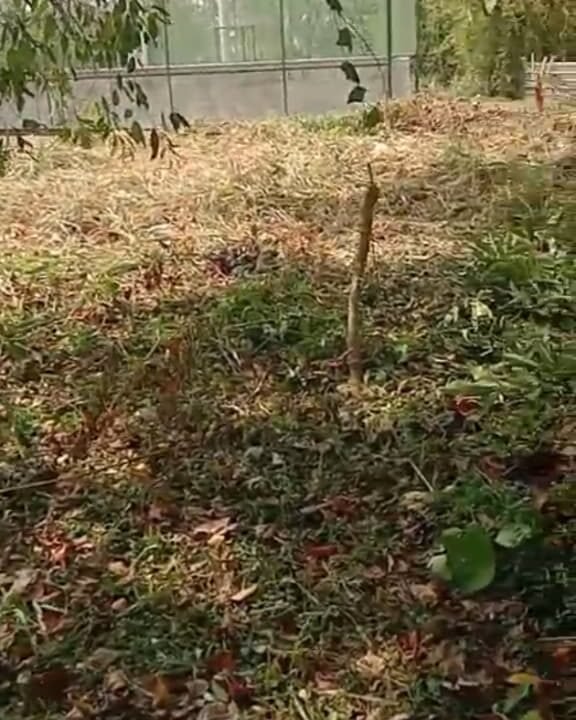 WhatsApp Image 2026-03-23 at 11.13.39 AM (1)