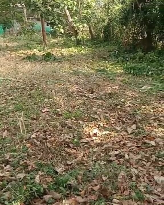 WhatsApp Image 2026-03-23 at 11.13.39 AM