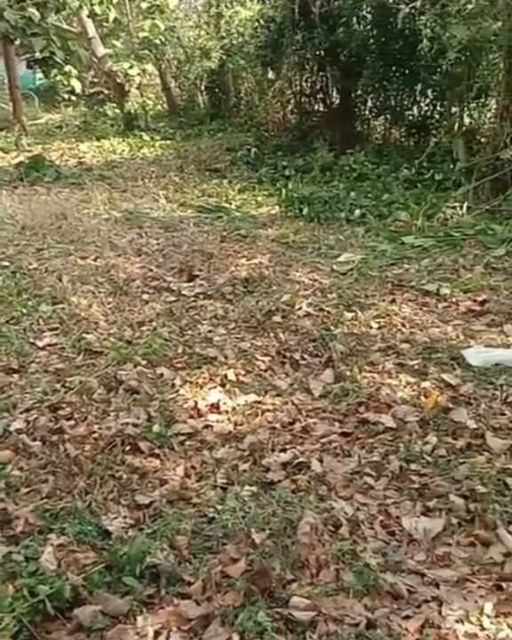 WhatsApp Image 2026-03-23 at 11.14.23 AM (1)