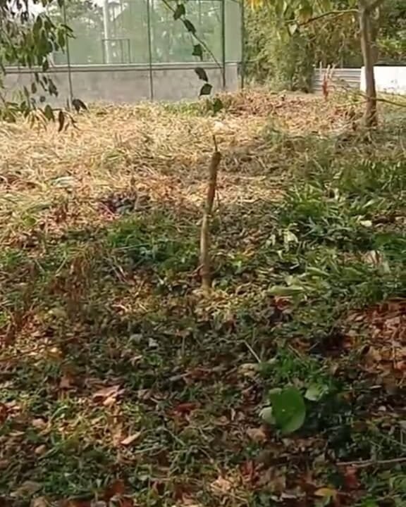 WhatsApp Image 2026-03-23 at 11.14.23 AM