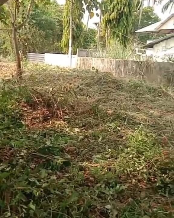 WhatsApp Image 2026-03-23 at 11.15.06 AM