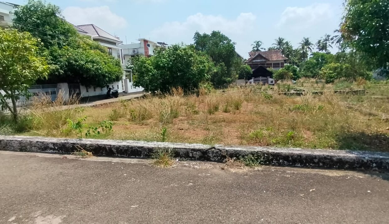 WhatsApp Image 2026-03-24 at 12.24.45 PM