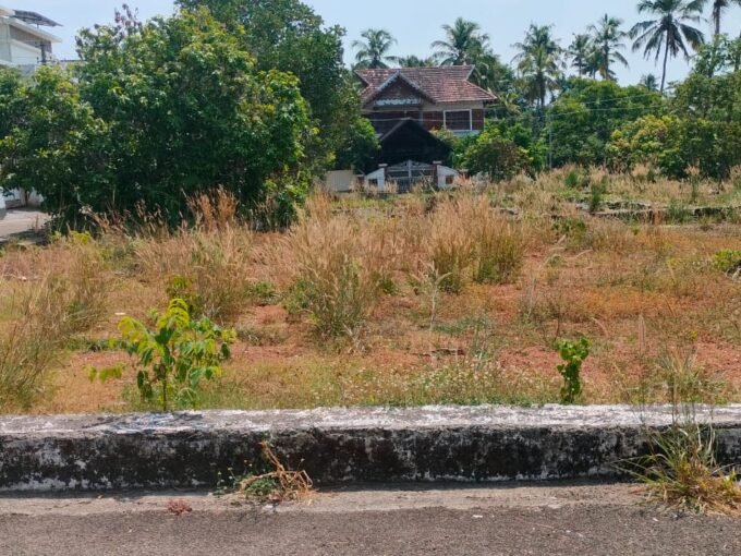 Residential Plot-6 cents for sale in Thalore center, Thrissur.