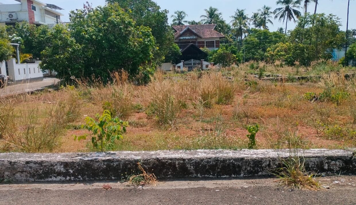 WhatsApp Image 2026-03-24 at 12.24.46 PM