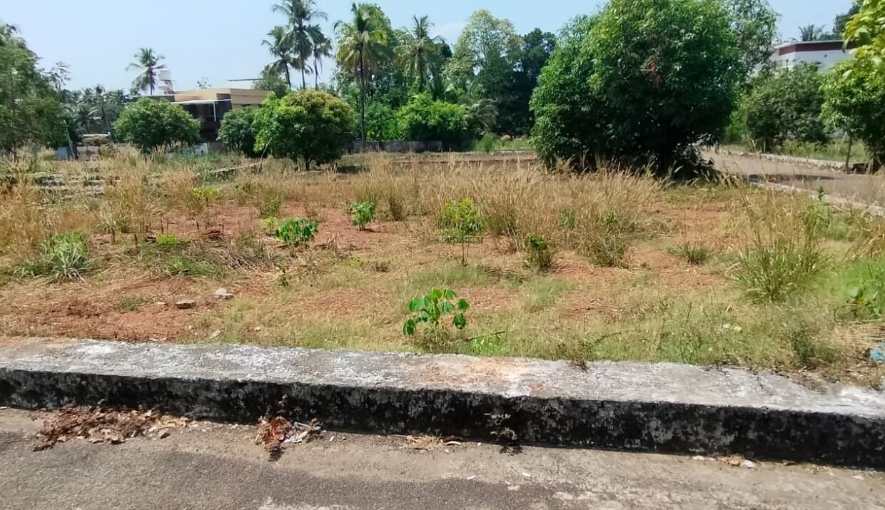 WhatsApp Image 2026-03-24 at 12.24.46 PM (2)