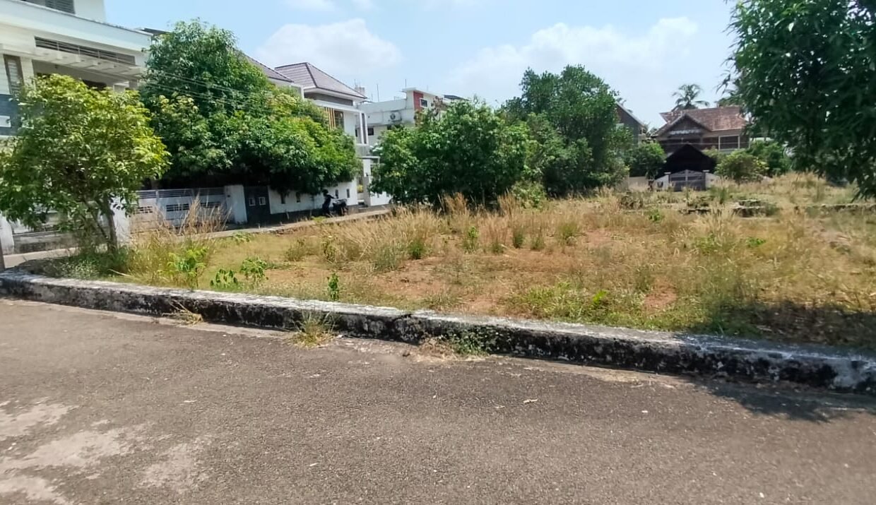 WhatsApp Image 2026-03-24 at 12.24.47 PM (1)