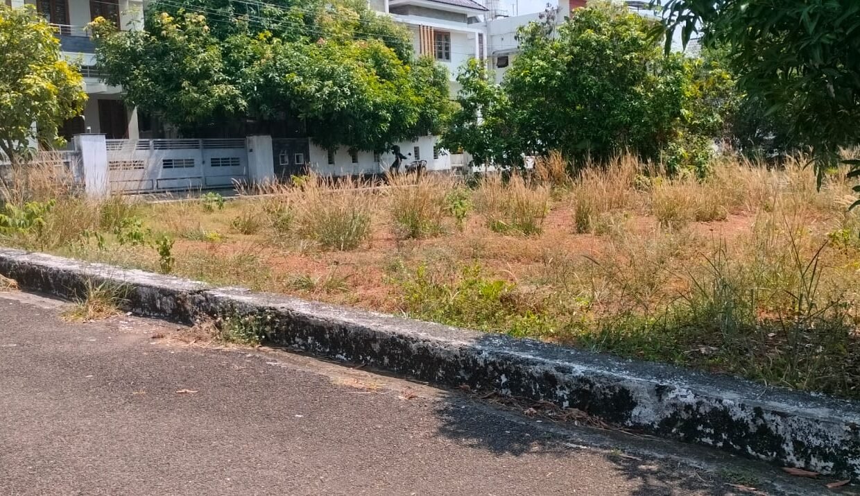 WhatsApp Image 2026-03-24 at 12.24.47 PM