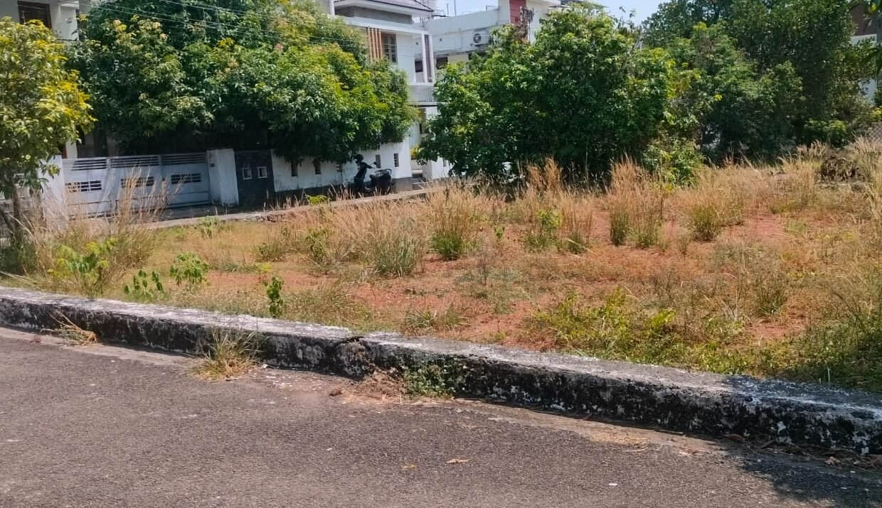 WhatsApp Image 2026-03-24 at 12.24.47 PM (2)