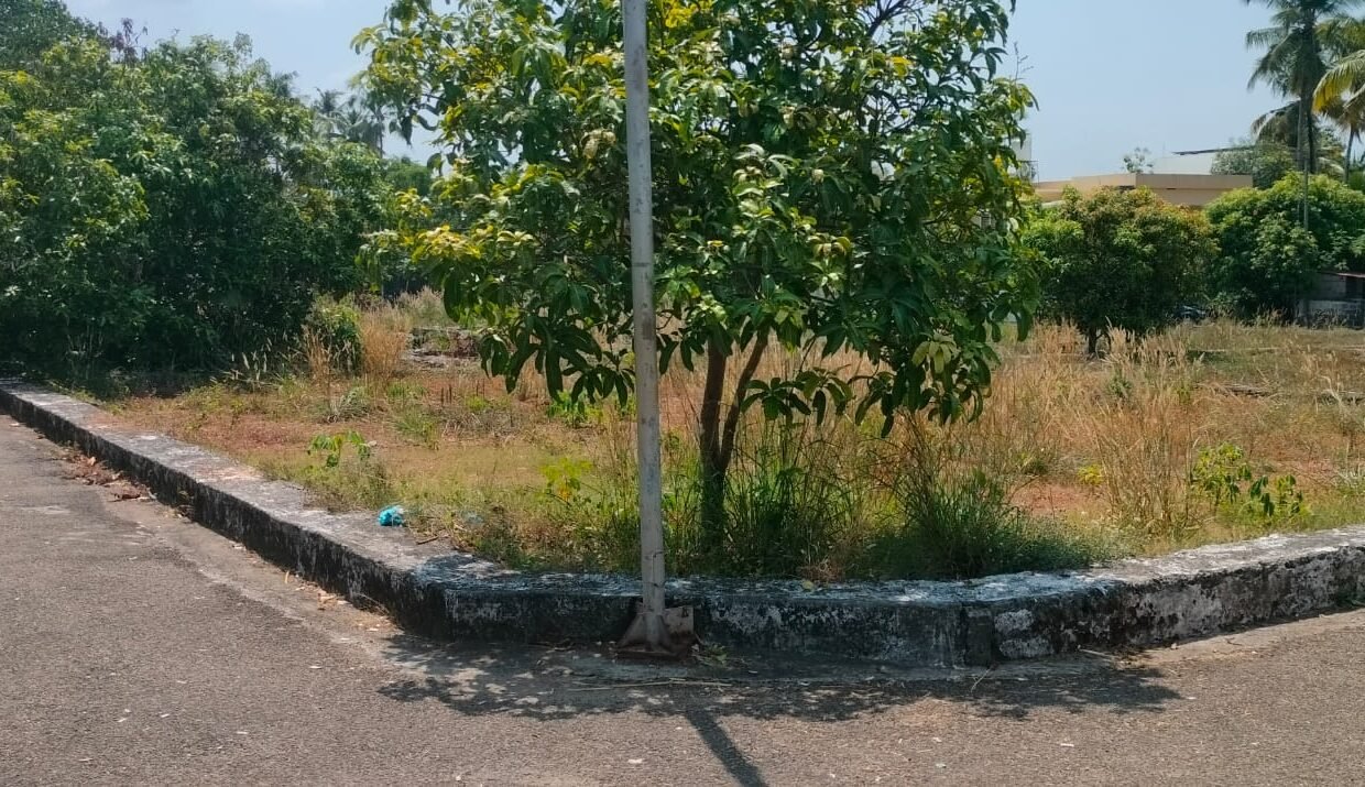 WhatsApp Image 2026-03-24 at 12.24.48 PM (1)