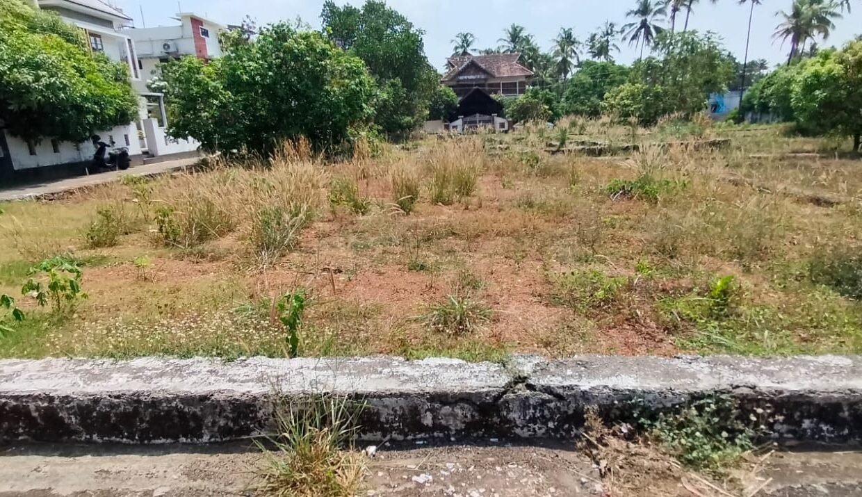 WhatsApp Image 2026-03-24 at 12.24.48 PM