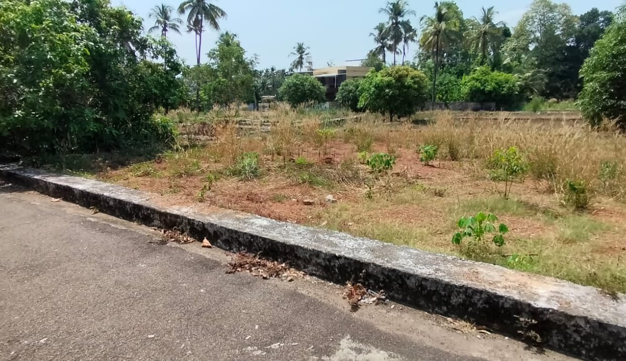 WhatsApp Image 2026-03-24 at 12.24.49 PM (1)