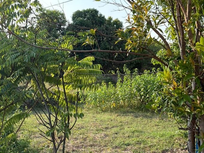 Residential land for sale in chembukkavu- Puthenvettuvazhy,Ghandinagar, Thrissur.