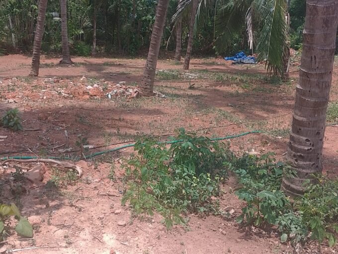 Residential Plots For Sale in Ayyanthole-Puthurkkara, Thrissur.| Real Estate Thrissur