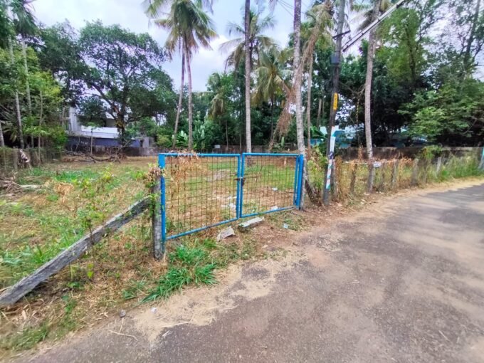 Residential Land-22 cent for Sale in Kuttanellur , Thrissur |Realesate thrissur