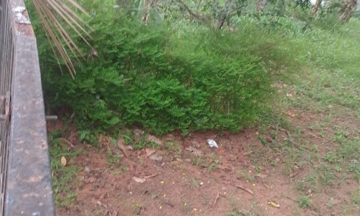 WhatsApp Image 2026-05-14 at 4.50.05 PM
