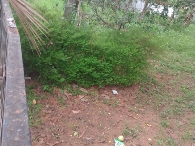 Residential land-45 cents for sale in Kuttur Center, Thrissur.