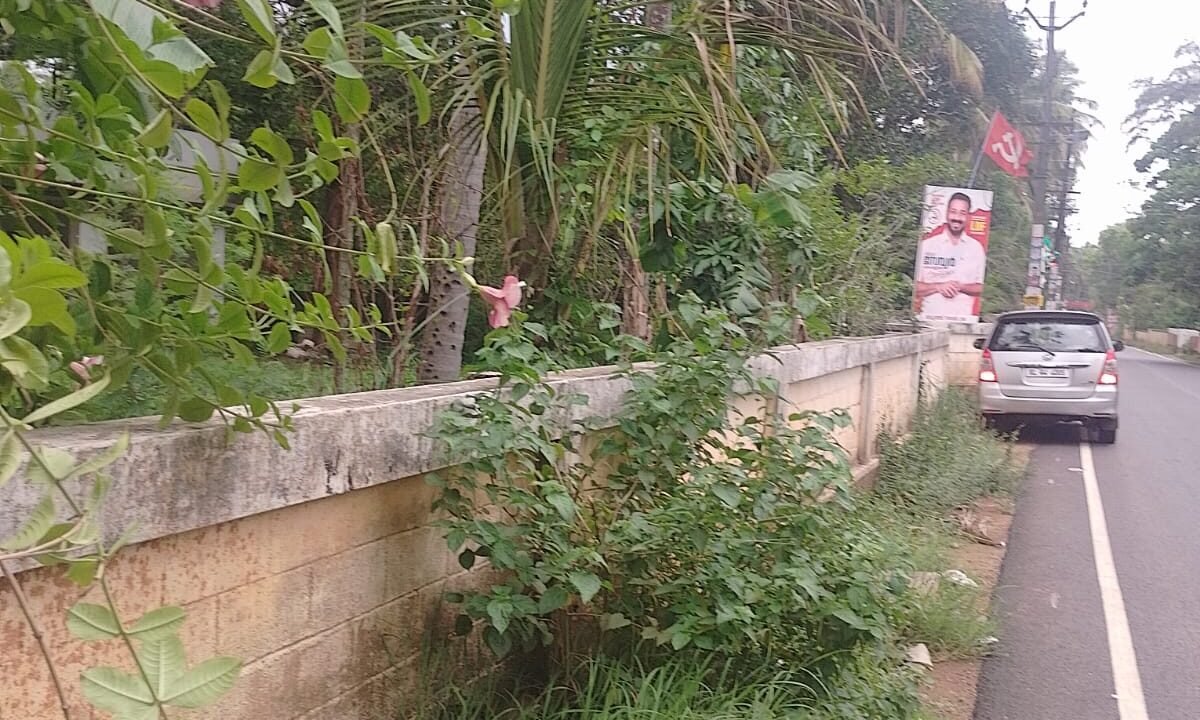 WhatsApp Image 2026-05-14 at 4.50.52 PM
