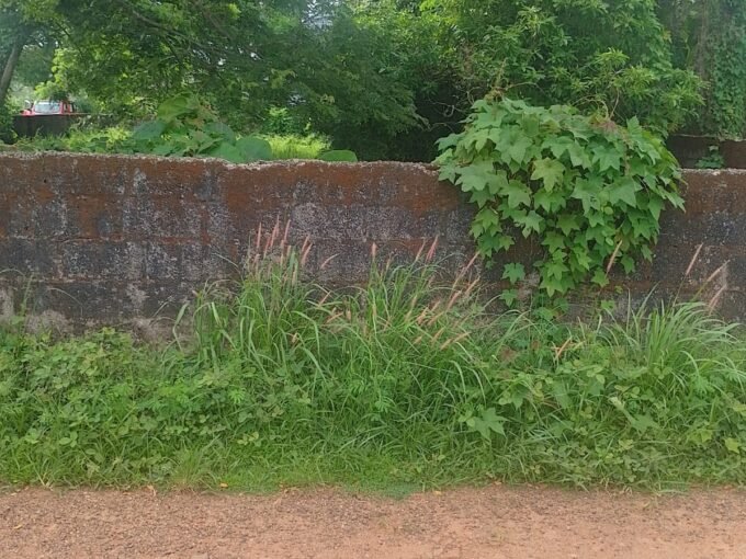 Residential Plot-12 cents For Sale in Peramangalam, Thrissur Real Estate.