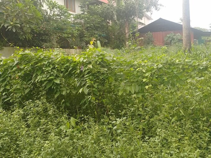 Residential Land For Sale in Thiroor, Thrissur.