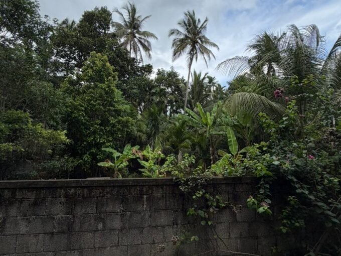 Residential Land- 7.50 Cents For sale in Kuttoor, Naithalakkavu, Thrissur | Real Estate Thrissur.