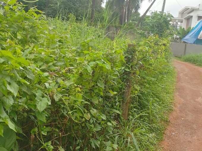 Residential Land-18 cents For Sale in Kalletumkara, Thrissur| Real Estate Thrissur
