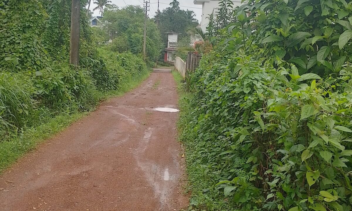 WhatsApp Image 2026-06-12 at 10.35.53 AM (1)