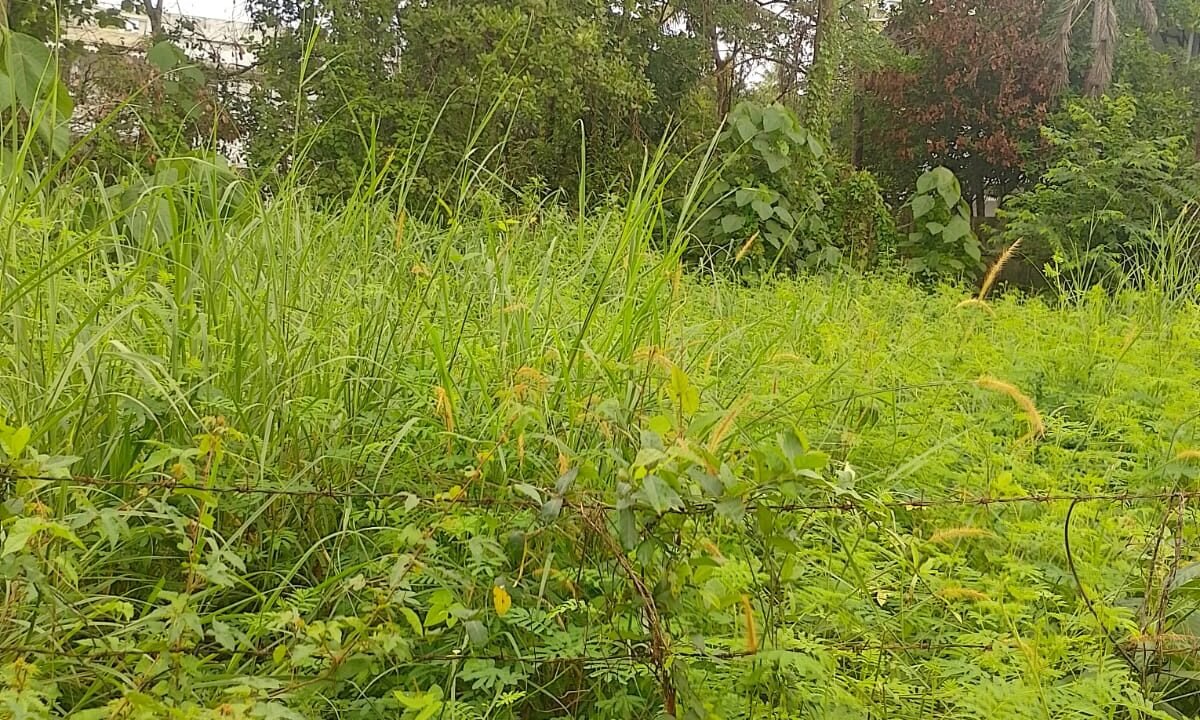 WhatsApp Image 2026-06-12 at 10.35.53 AM