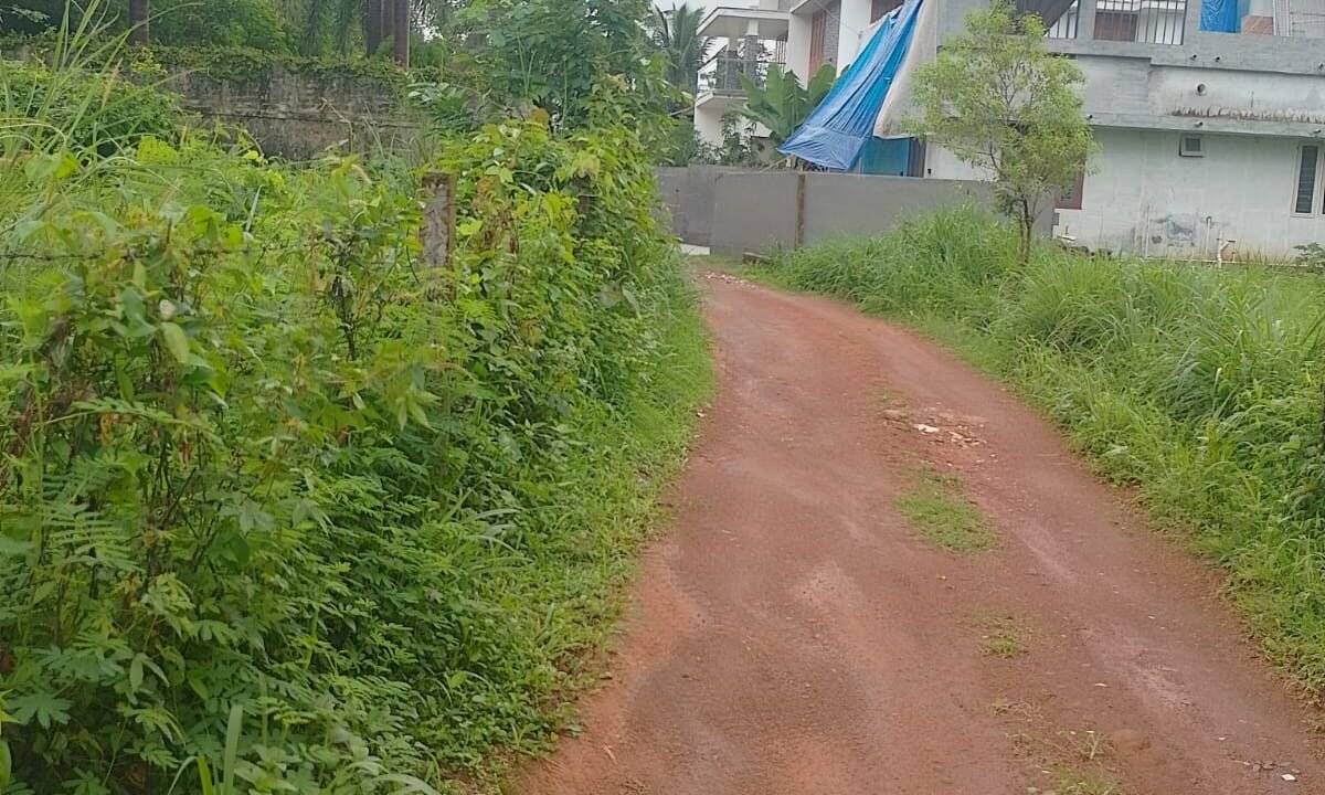 WhatsApp Image 2026-06-12 at 10.35.54 AM