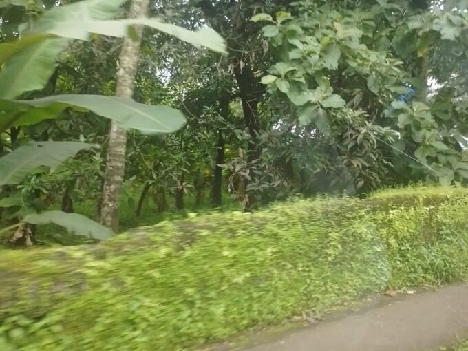 Commerical Land-17 cents For Sale in East Fort(Kizhakkekotta),Thrissur.