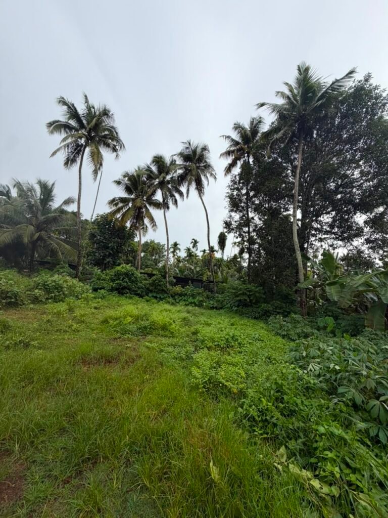 Residential Plot for Sale in Kaiparambu, Thrissur