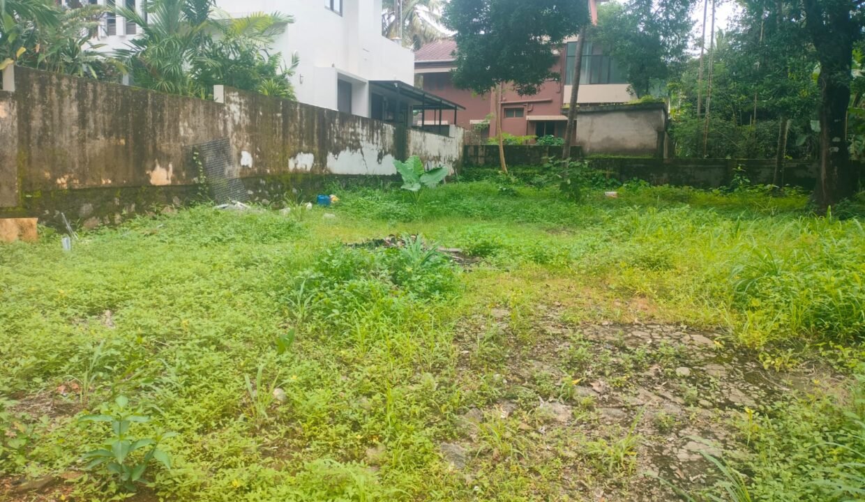 WhatsApp Image 2026-08-01 at 4.05.33 PM (1)