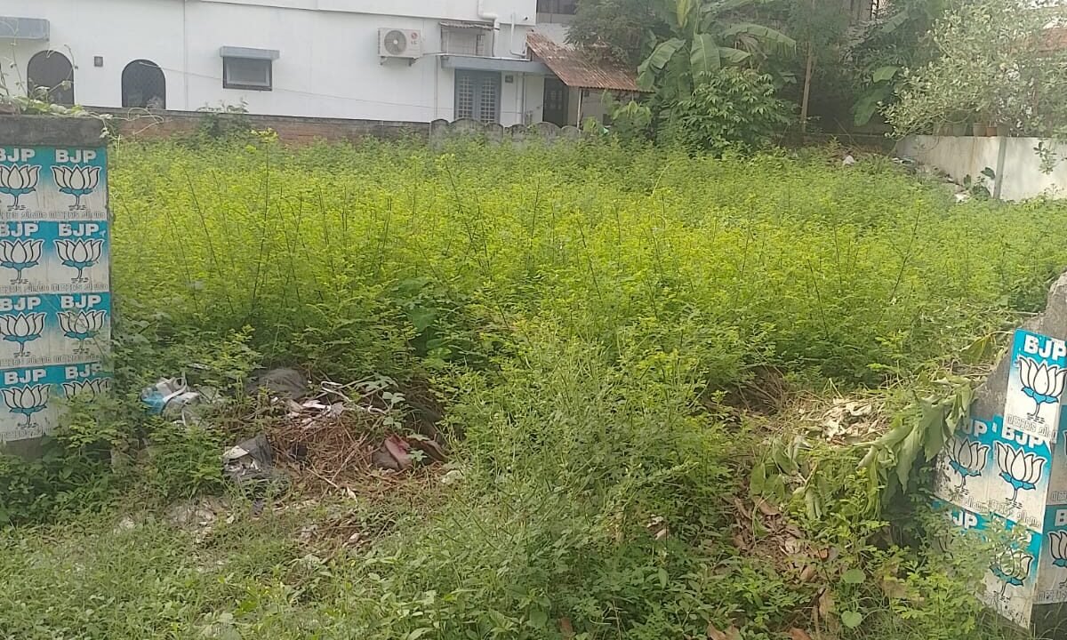 WhatsApp Image 2026-08-12 at 1.04.47 PM (1)