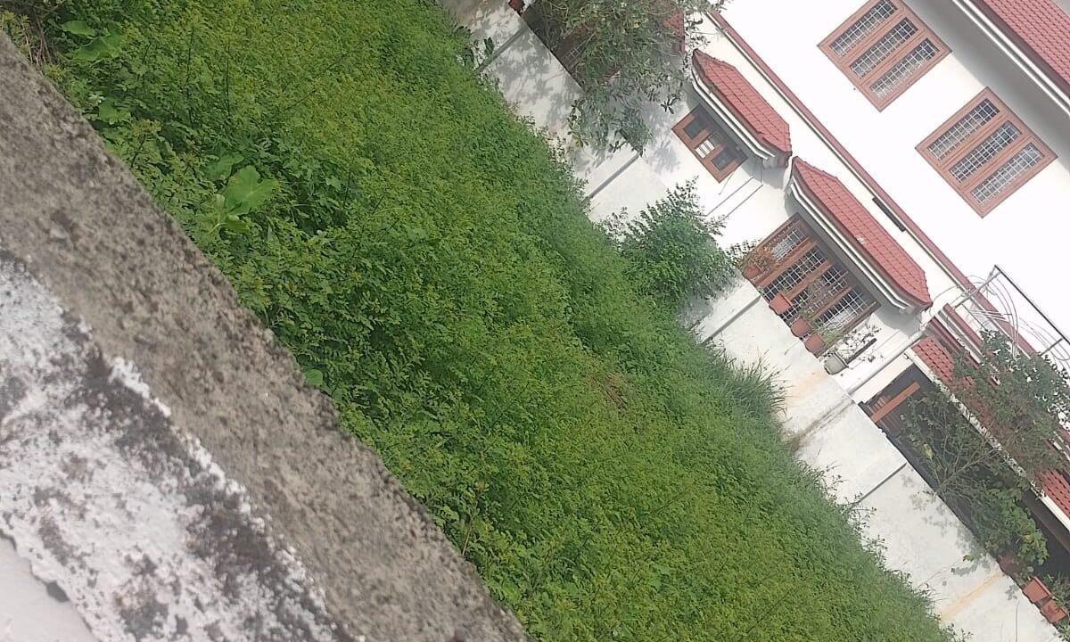WhatsApp Image 2026-08-12 at 1.04.47 PM (3)