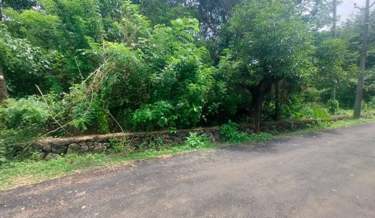 WhatsApp Image 2026-08-20 at 1.58.46 PM (1)