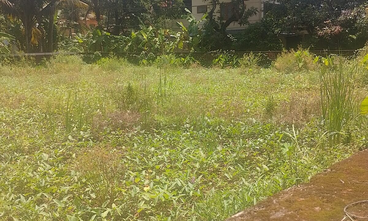WhatsApp Image 2026-09-06 at 1.23.47 PM (1)