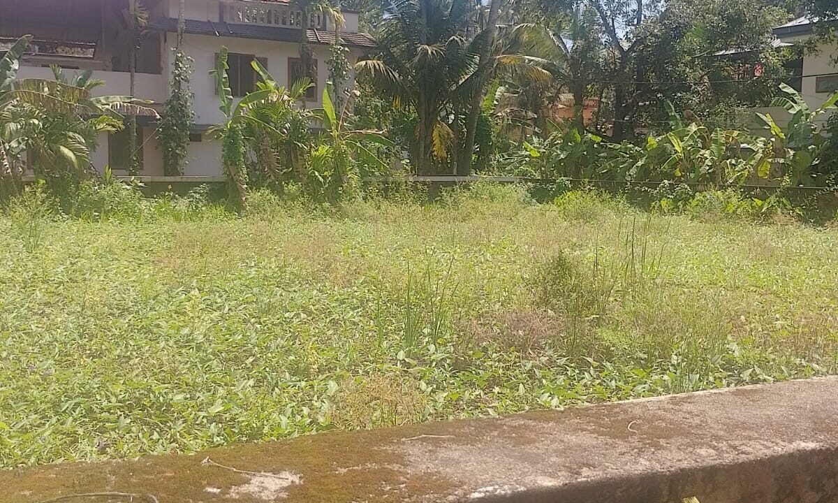 WhatsApp Image 2026-09-06 at 1.23.47 PM (2)