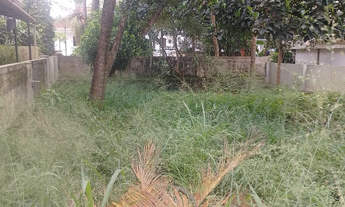 WhatsApp Image 2026-09-06 at 1.28.24 PM