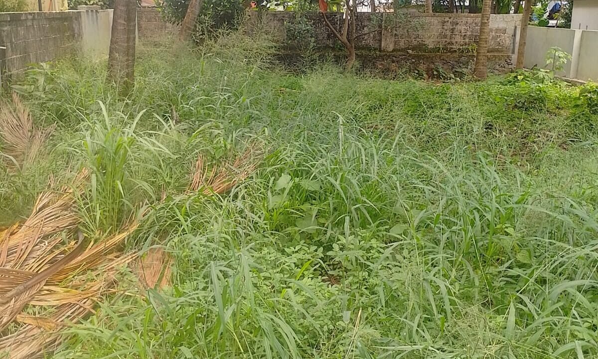 WhatsApp Image 2026-09-06 at 1.28.28 PM (2)