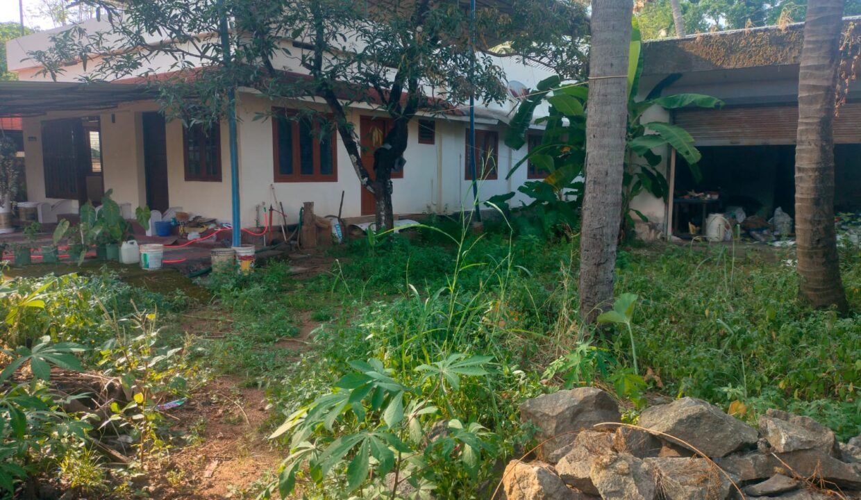 WhatsApp Image 2026-09-15 at 5.32.33 PM (1)