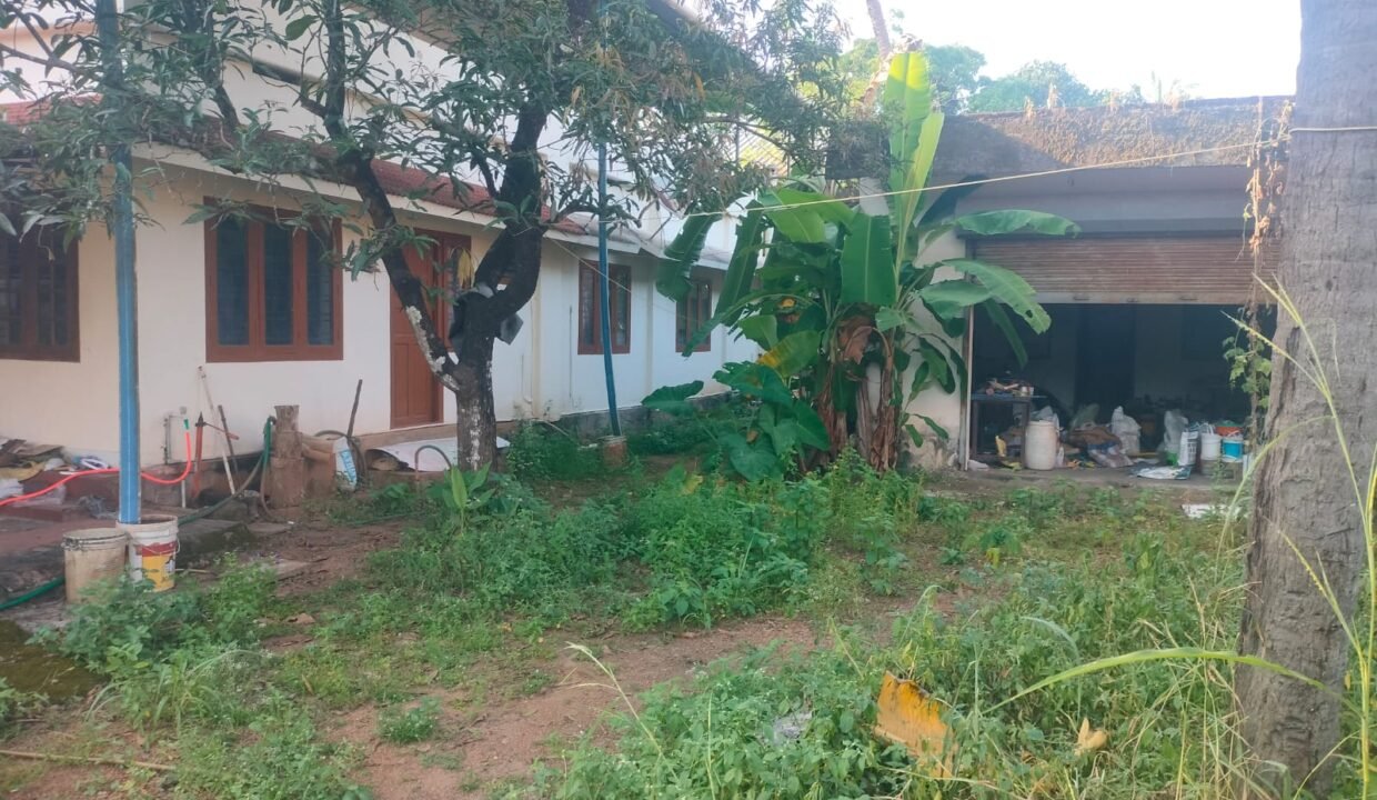 WhatsApp Image 2026-09-15 at 5.32.33 PM (2)