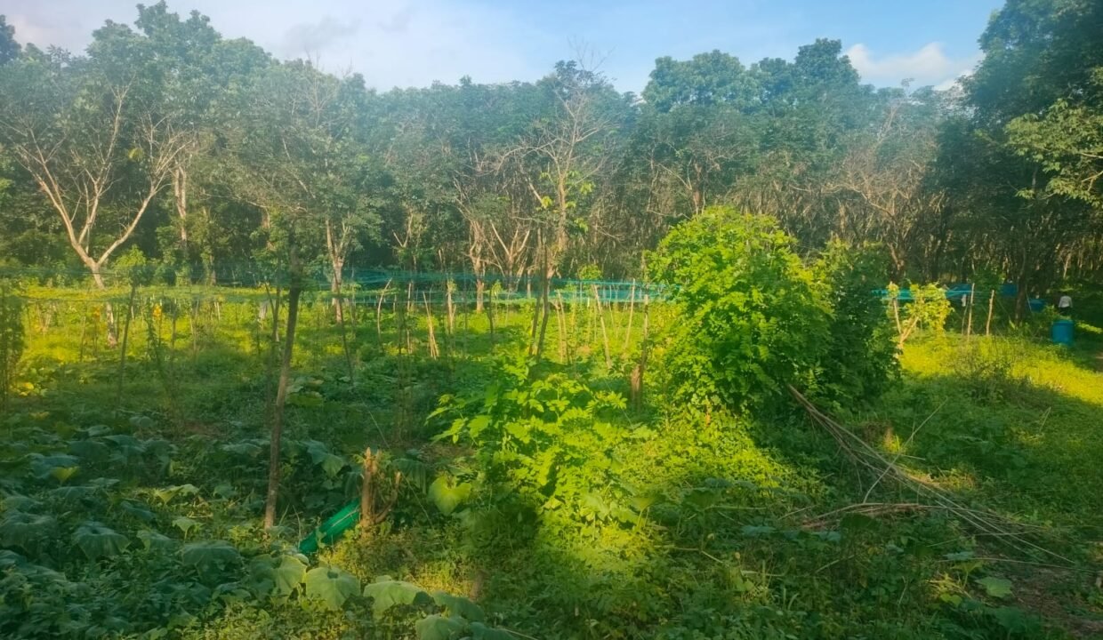 WhatsApp Image 2026-09-19 at 4.40.52 PM (1)
