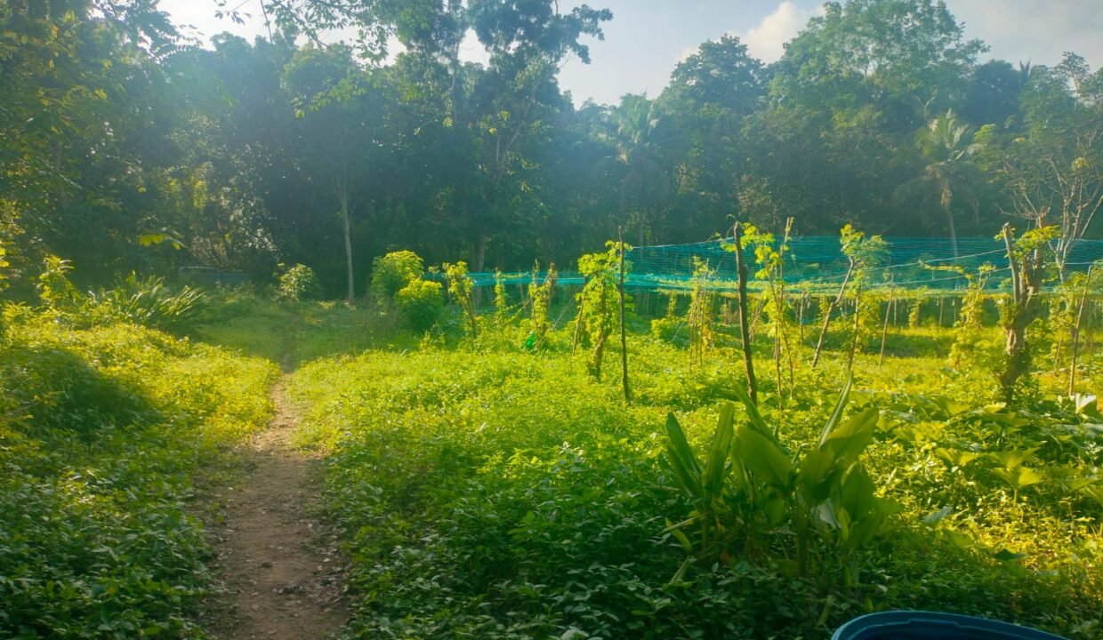 WhatsApp Image 2026-09-19 at 4.40.52 PM