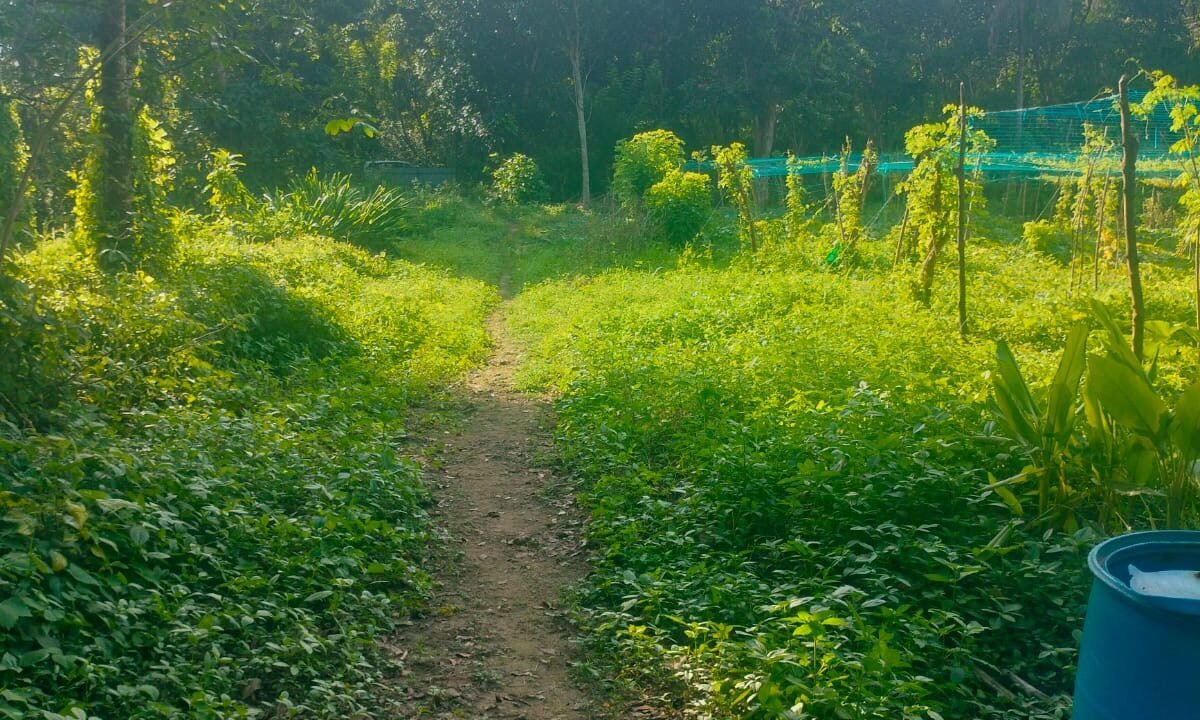 WhatsApp Image 2026-09-19 at 4.40.54 PM (1)
