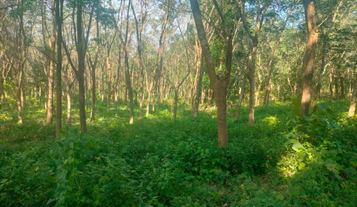 WhatsApp Image 2026-09-19 at 4.40.54 PM (2)