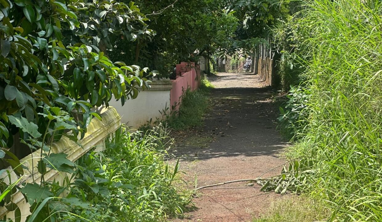 WhatsApp Image 2026-09-22 at 1.34.03 PM