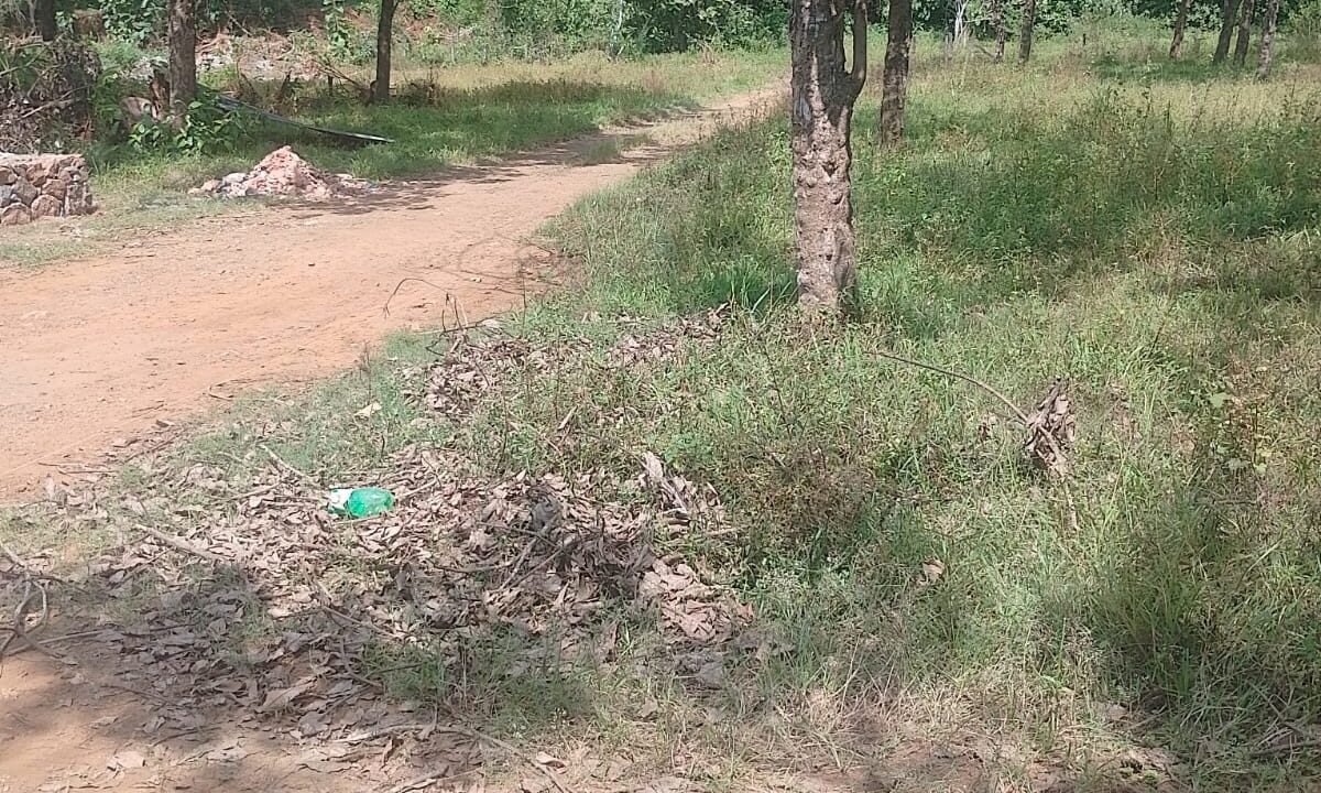 WhatsApp Image 2026-09-30 at 2.25.49 PM (1)