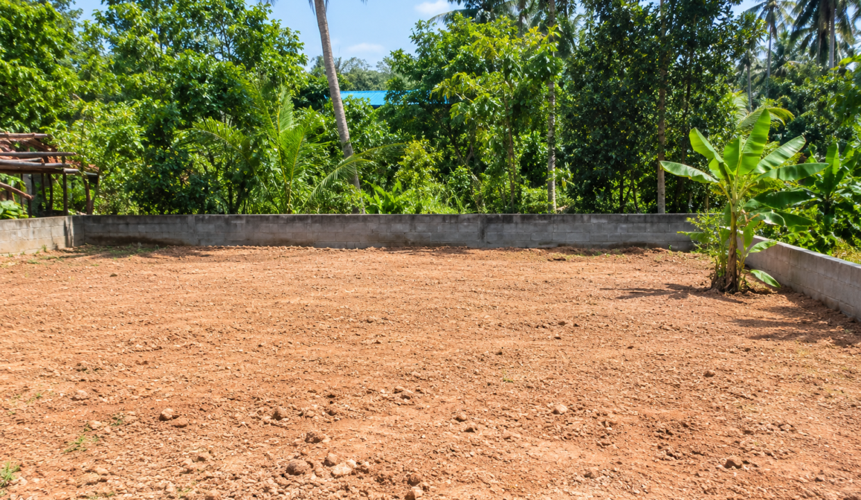 Tropical Plot of Land for Sale